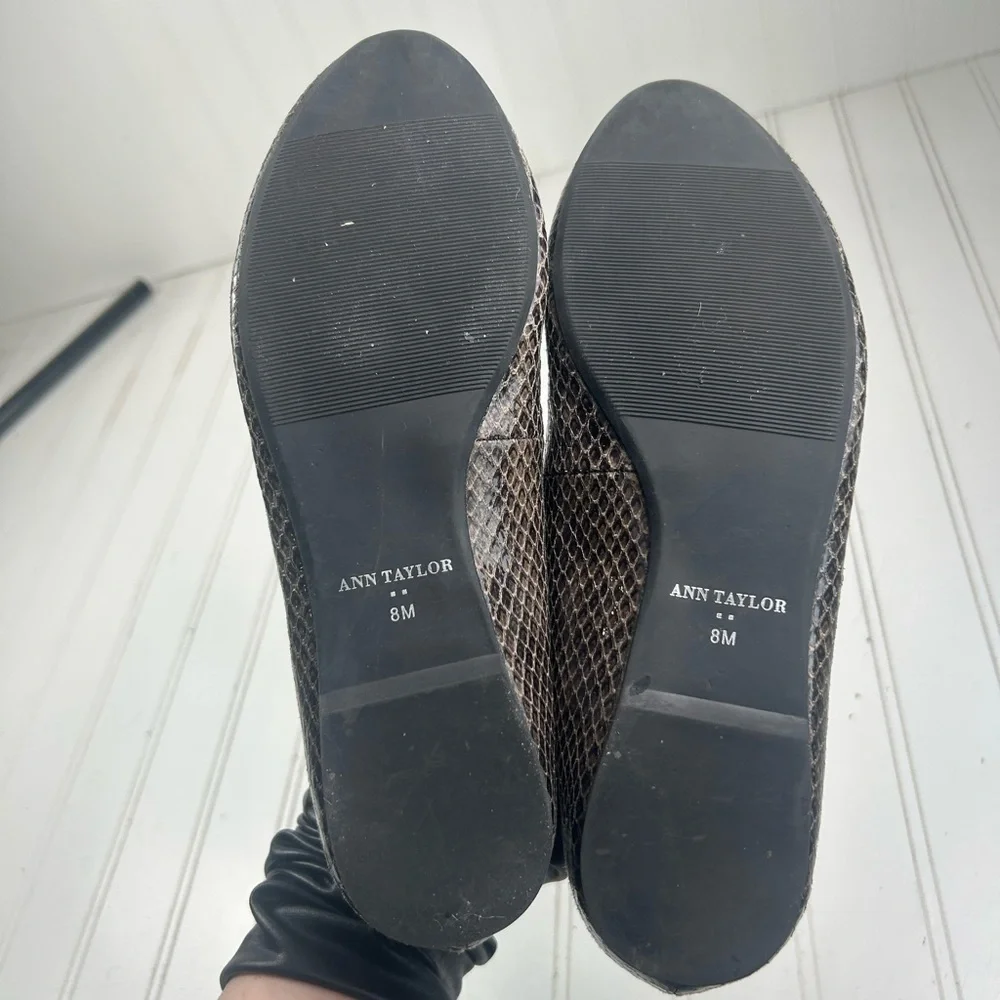 Ann Taylor ann taylor